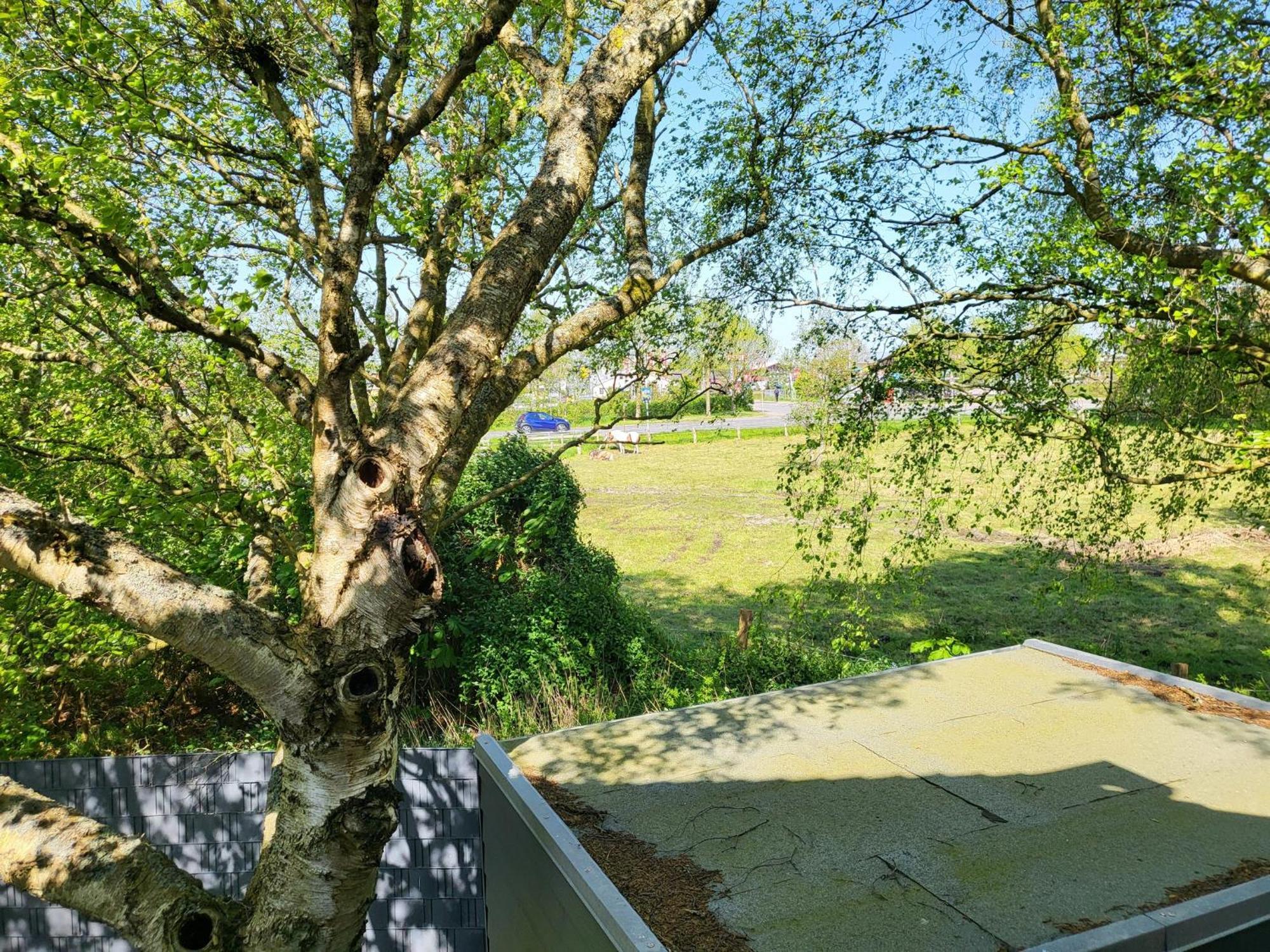 Ferienhaus Dhh "Unsere Zweite Heimat" Links Sankt Peter-Ording Exterior foto